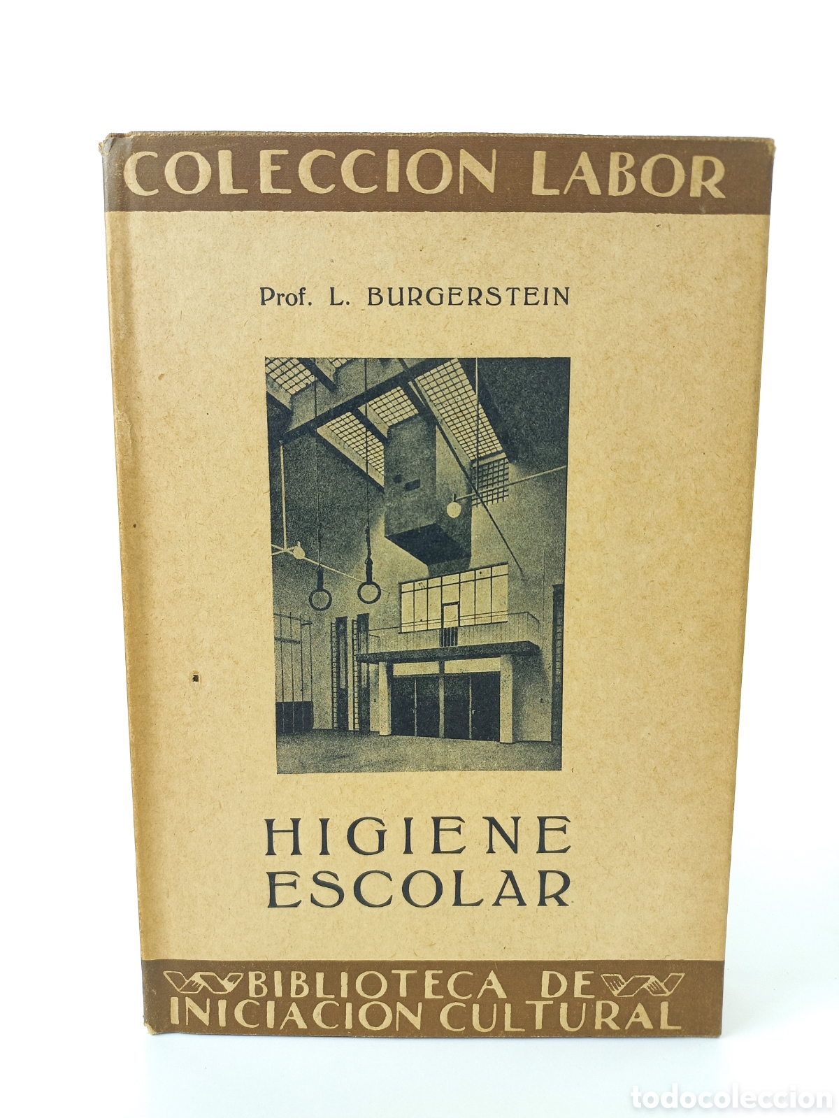 Libros antiguos: Higiene escolar. Burgerstein. Labor, primera edici&oacute;n, 1929. Ilustrado.