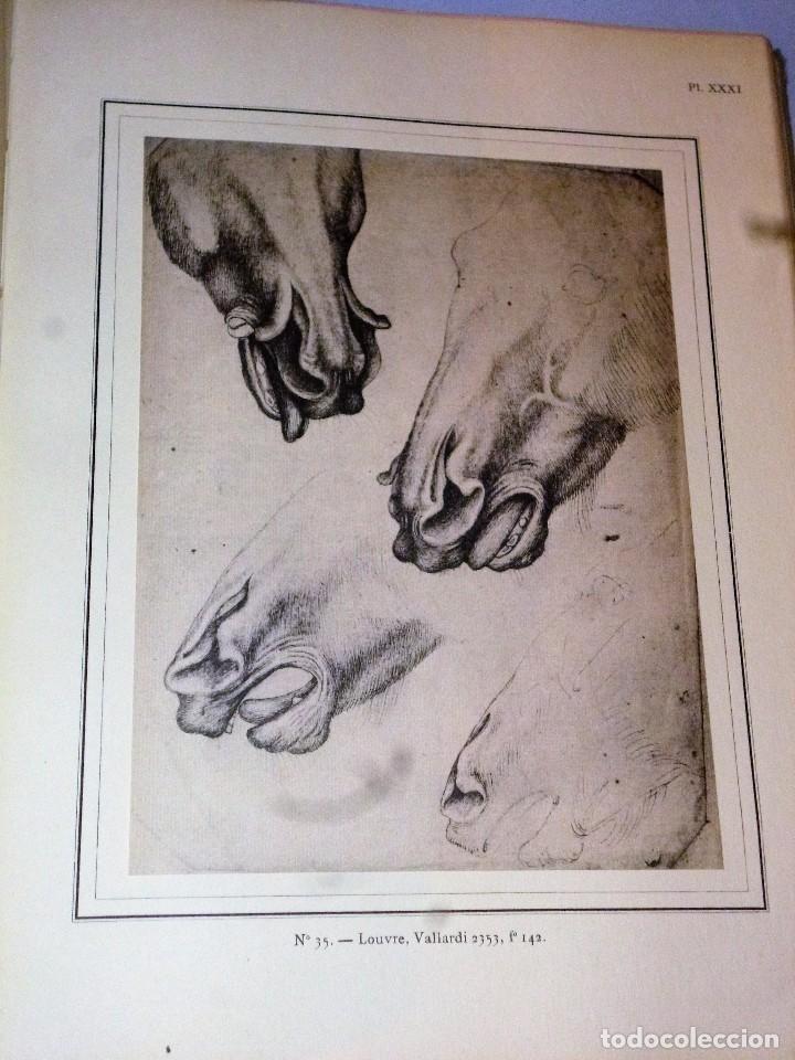 Libros antiguos: DESSINS DE PISANELLO - Foto 3