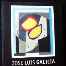 Libros antiguos: JUAN LUIS GALICIA. EL SENTIDO DEL COLOR BAJO LA FORMA.. Lote 373869104