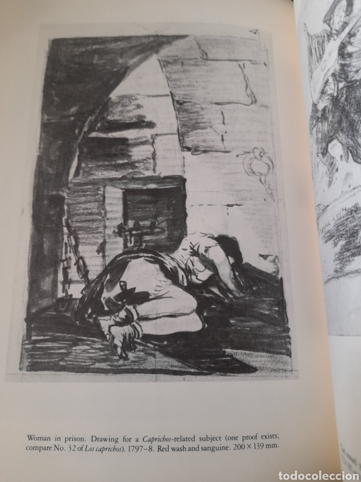 Libros antiguos: Goya Drawings, 44 plates - Foto 6