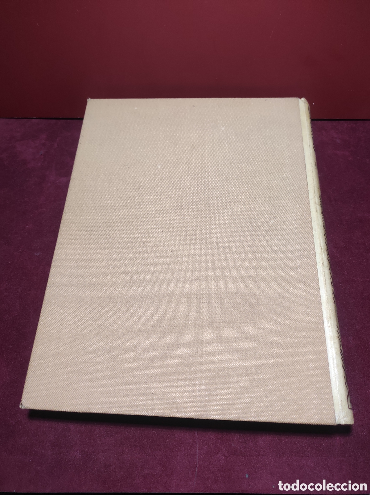Libros antiguos: LIBRO EL DESNUDO EN EL ARTE 1932 - Foto 14