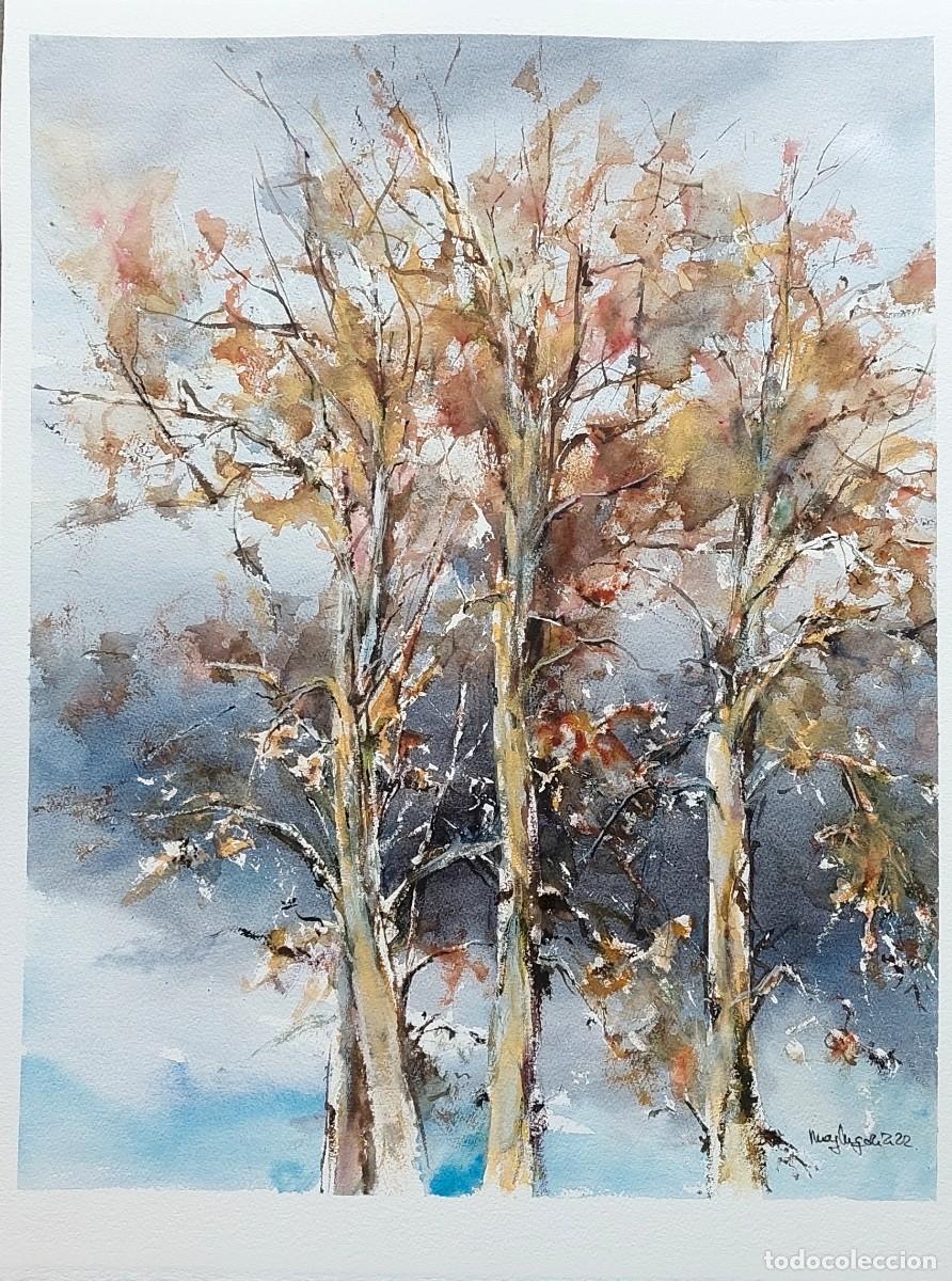 Libros antiguos: ARBOLEDA EN OTO&Ntilde;O, acuarela - Foto 1