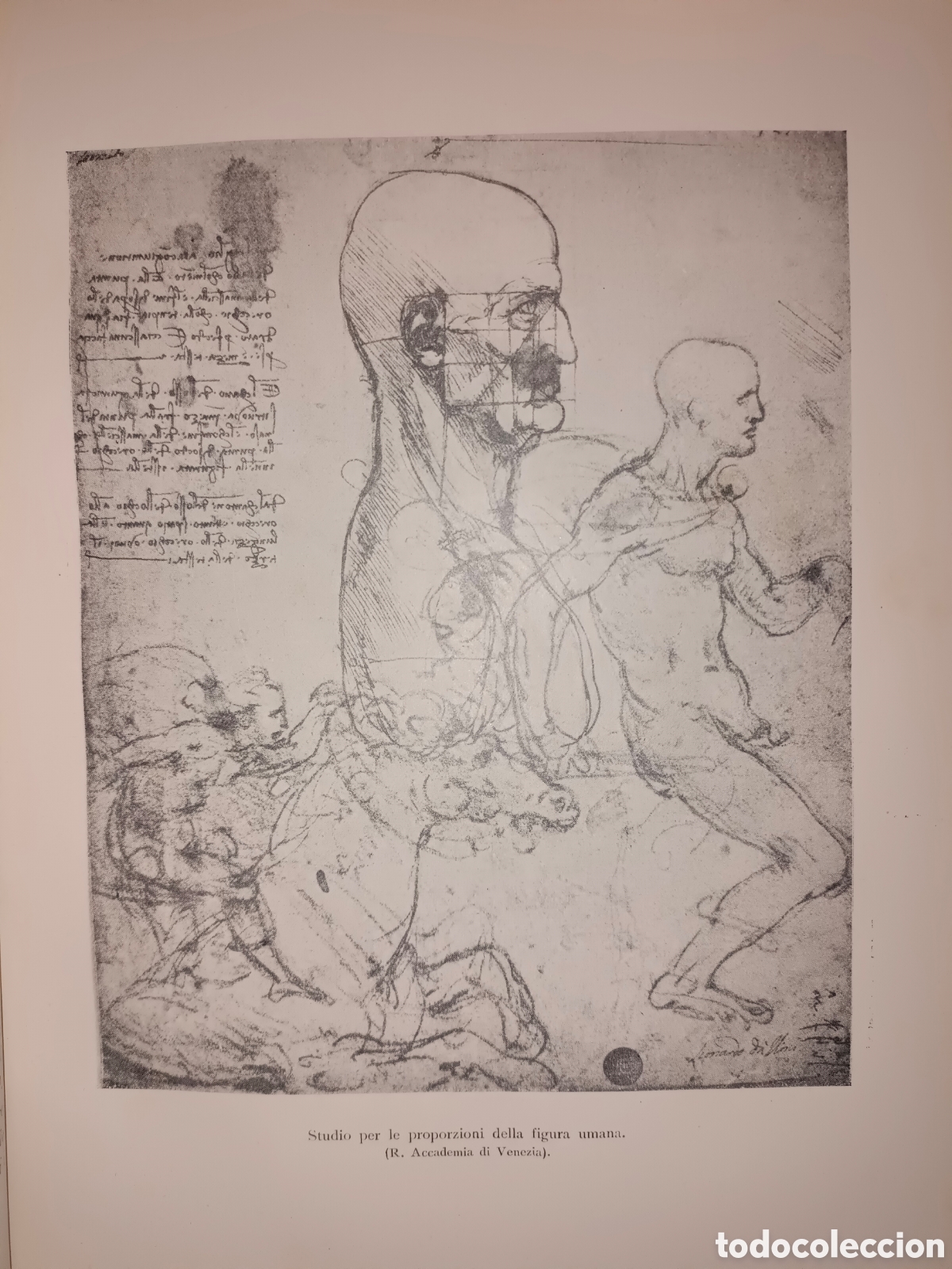 Libros antiguos: Leonardo Da Vinci Pero Il IV Centenario - Foto 11