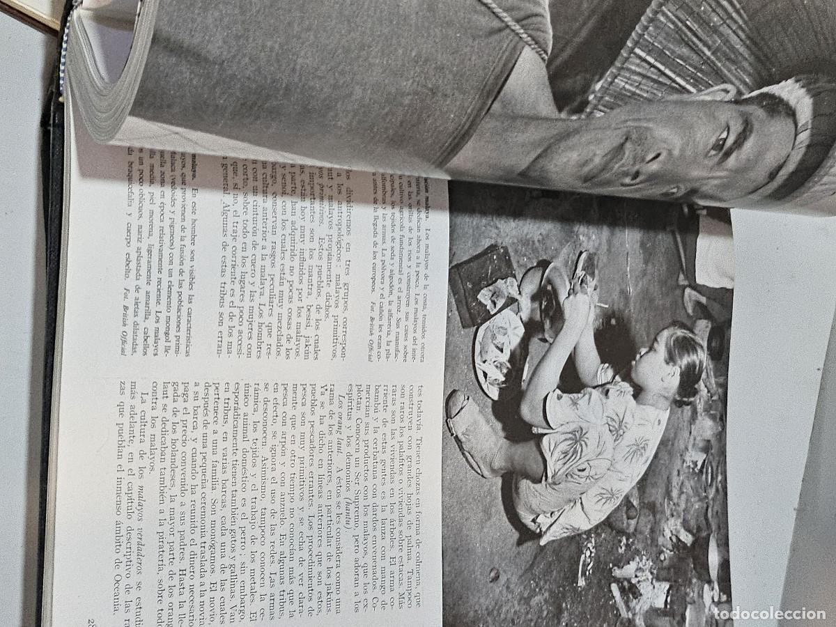 Libros antiguos: 2 tomos de las razas humanas - Foto 8