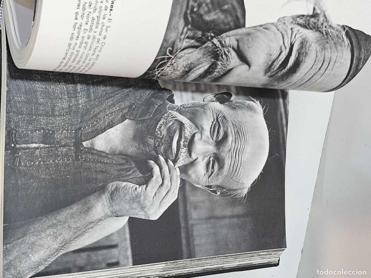 Libros antiguos: 2 tomos de las razas humanas - Foto 10