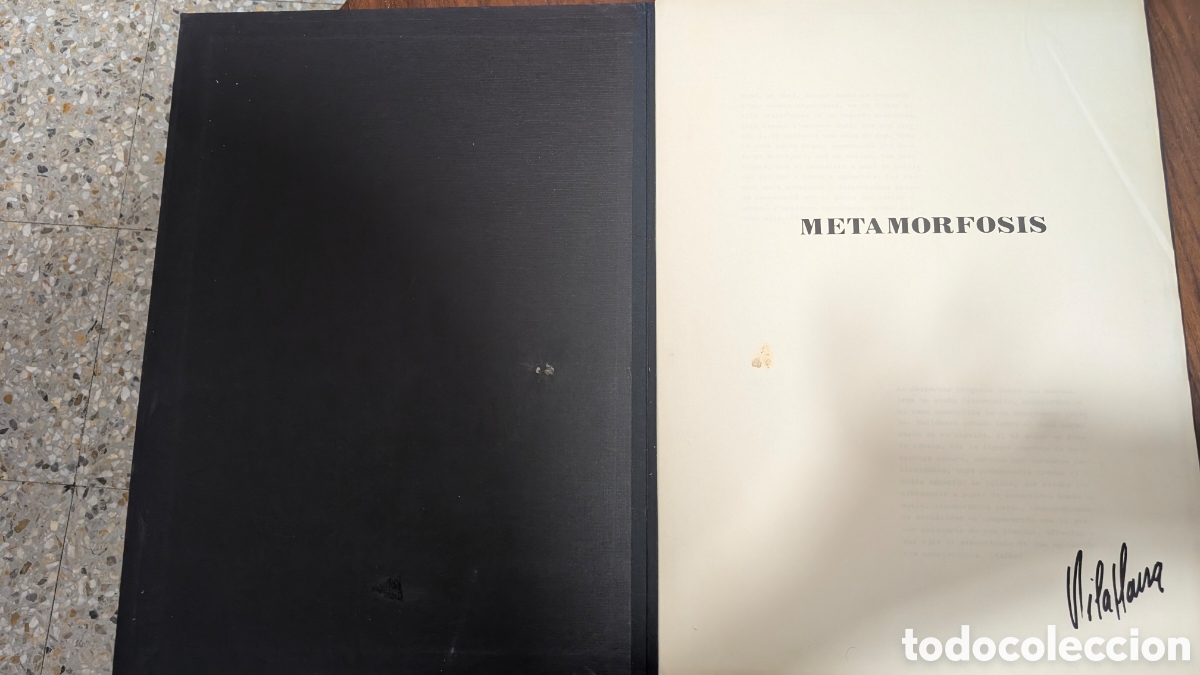 Libros antiguos: FRANCISCO VILAPLANA: Metamorfosis (Kafka) 1979. Carpeta H.C. con 5 Grabados Originales FIRMADOS