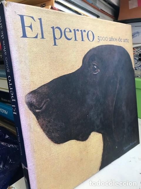 Libros antiguos: EL PERRO. 5000 A&Ntilde;OS DE ARTE- Pickeral, Tamsin.- Ed Blume