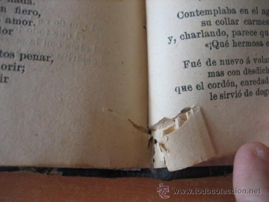 Libros antiguos: DOLORAS DE RAMON DE CAMPOAMOR  EDICION COMPLETA - Foto 5