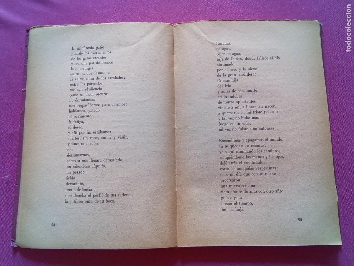 Libros antiguos: LA LUNA EN EL LABERINTO.PABLO NERUDA.E/2/3/4 - Foto 4