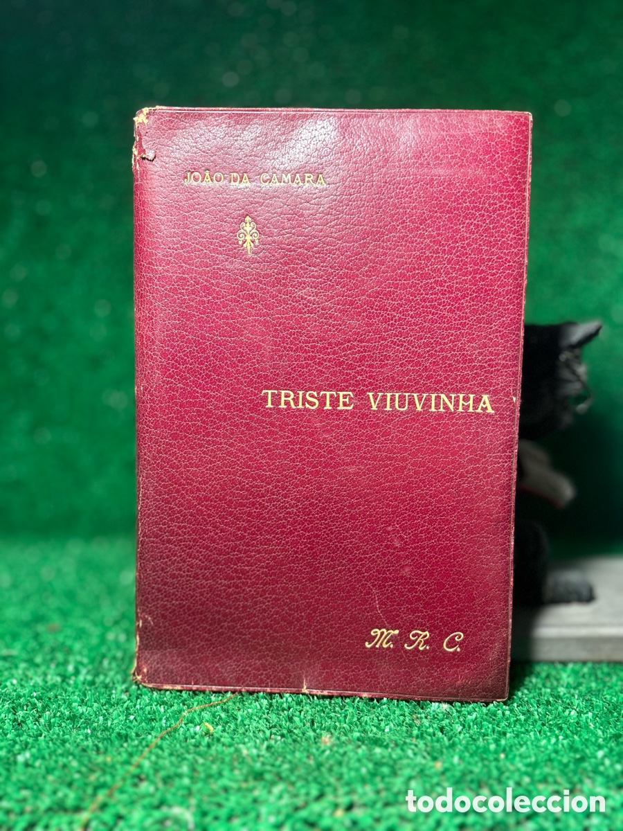 Libros antiguos: TRSITE VIUVINHA - JOAO DA CAMARA -FIRMADO- A5
