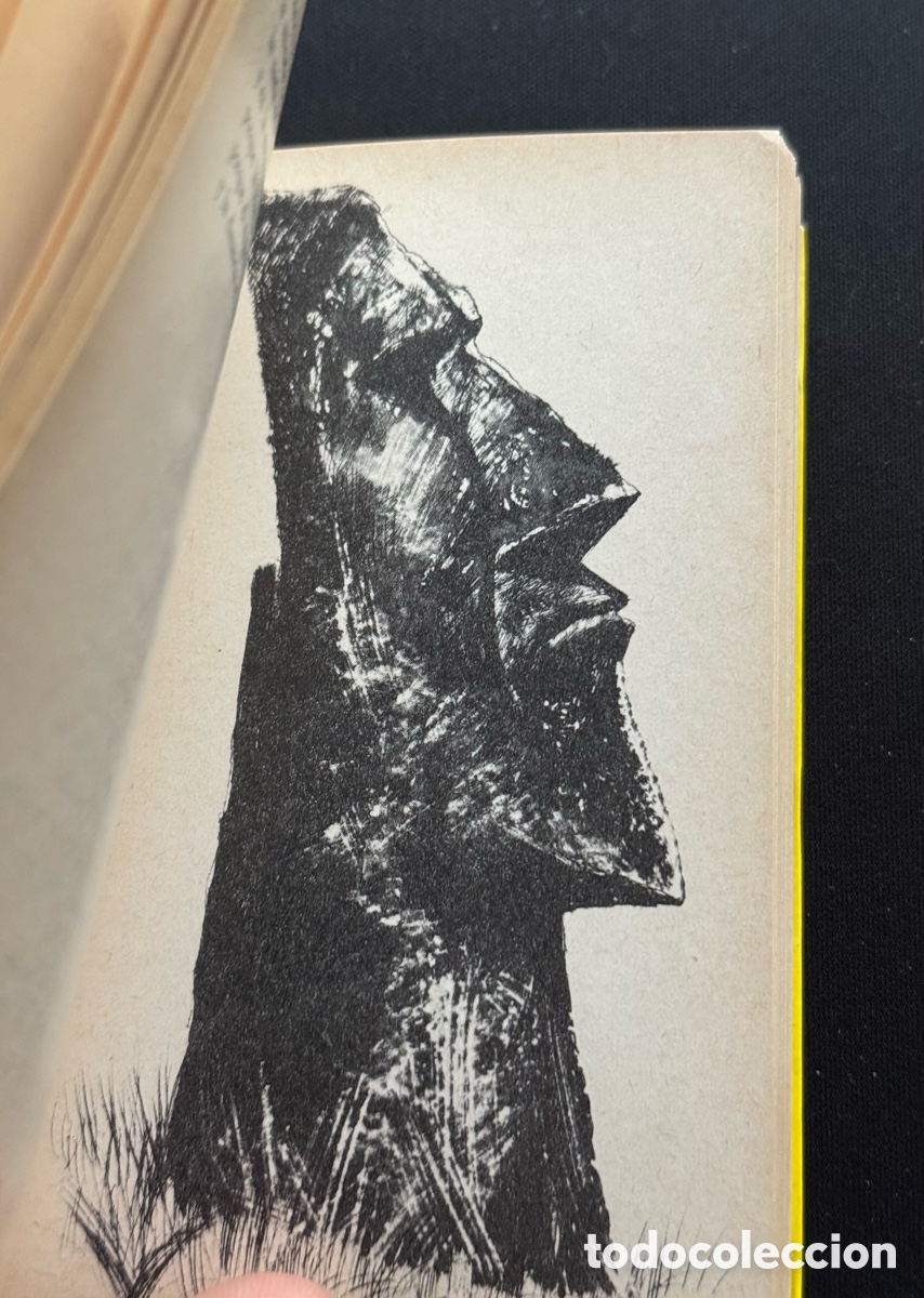 Libros antiguos: Libro Pablo Neruda La Rosa Separada 1975 RARO - Foto 6