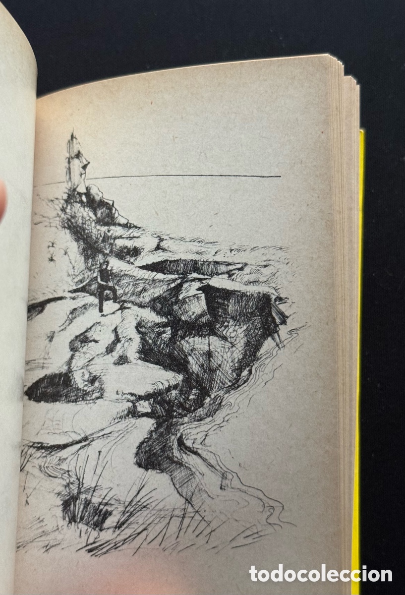 Libros antiguos: Libro Pablo Neruda La Rosa Separada 1975 RARO - Foto 7