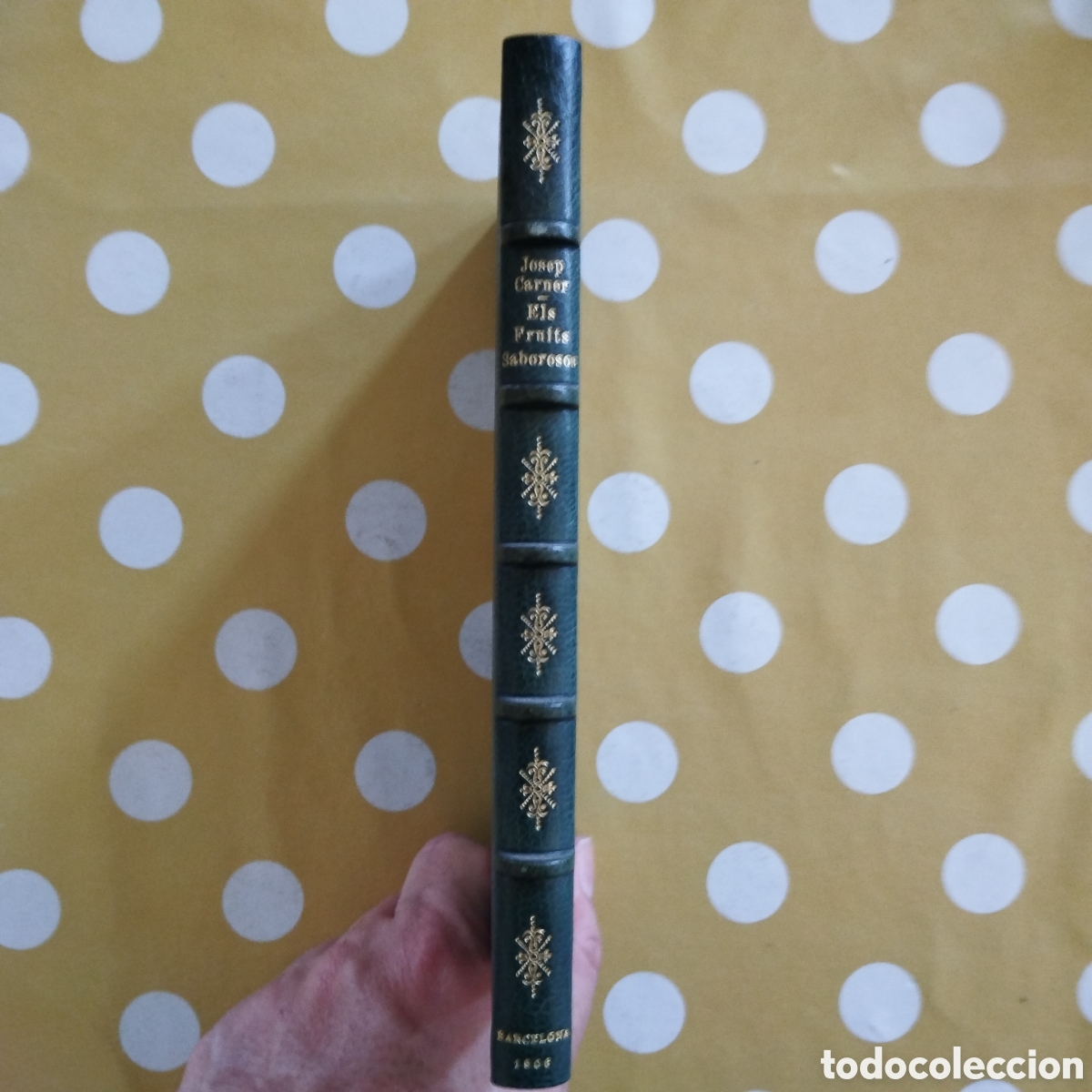 Libros antiguos: PRIMERA EDICI&Oacute; JOSEP CARNER ELS FRUITS SABOROSOS 1906