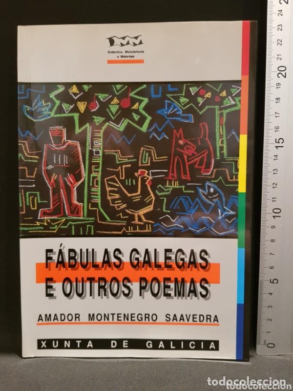 Libros antiguos: F&aacute;bulas Galegas e outros Poemas - Amador Montenegro - Xunta de Galicia