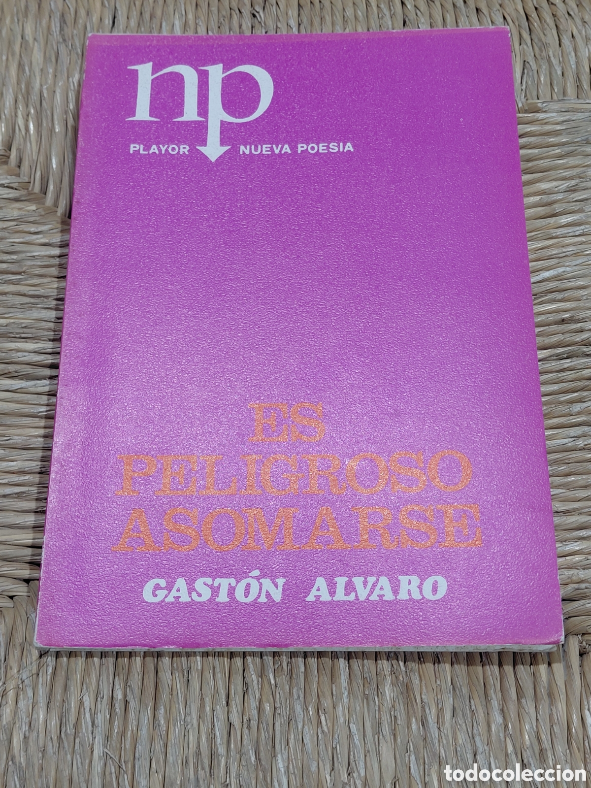 Libros antiguos: (Raro) Es peligroso asomarse es una obra del escritor y poeta Gast&oacute;n &Aacute;lvaro Santana, Playor 1981 Au