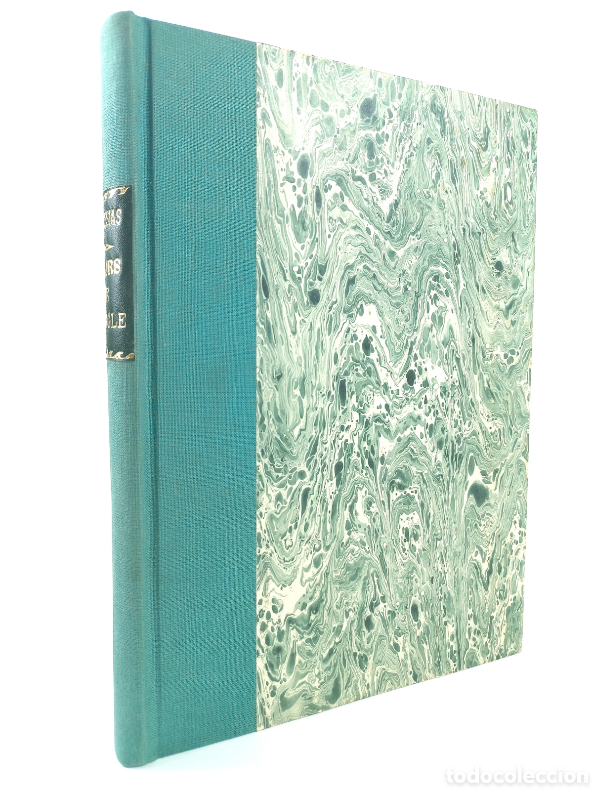 Libros antiguos: Flors de Cingle. Ignasi Iglesias. L'acen&ccedil;, 1912. Catal&aacute;n.