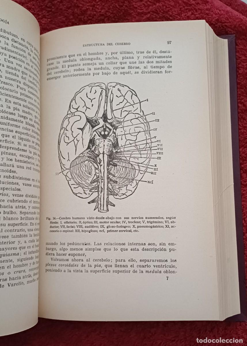 Libros antiguos: COMPENDIO DE PSICOLOG&Iacute;A -- W. JAMES - Foto 6