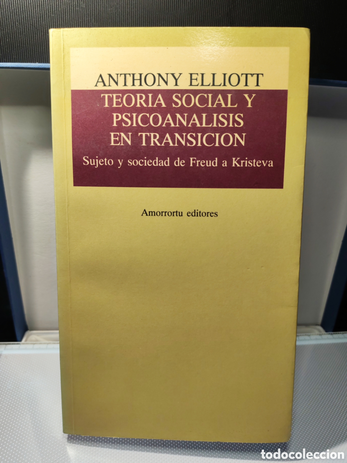 Libros antiguos: Teoria social y psicoanalisis en transicion. Anthony Elliot. 1995.