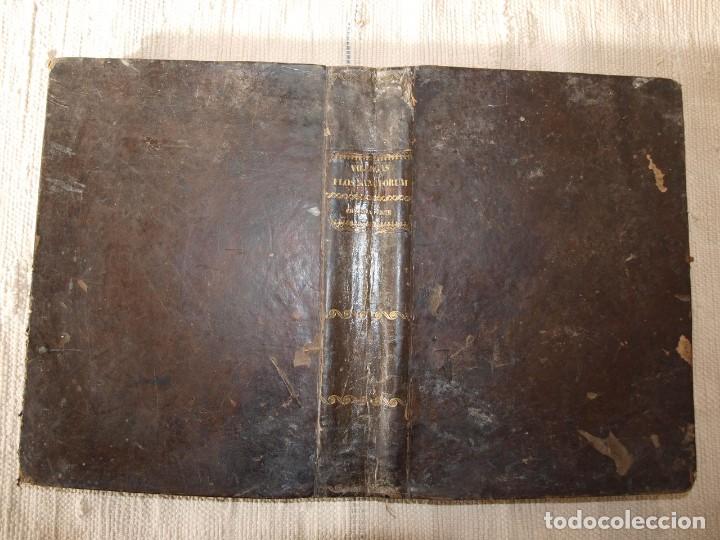 Antiquarische B&uuml;cher: Flos Sanctorvm. Vida de Cristo y de todos los Santos