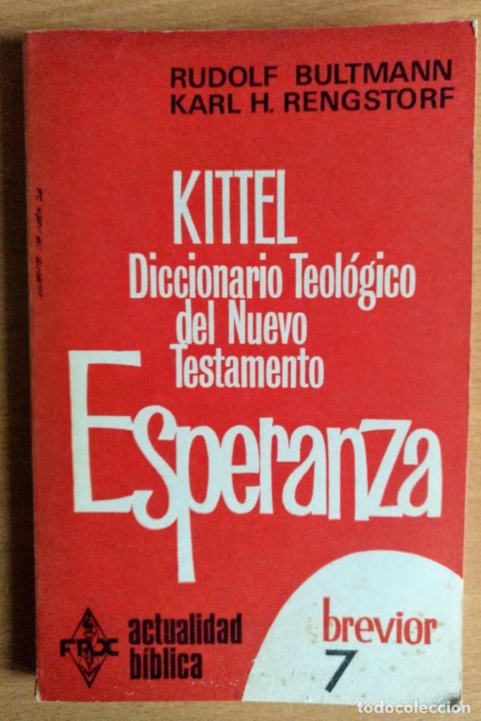 Libri antichi: Diccionario Teol&oacute;gico de lNuevo Testamento. ESPERANZA
