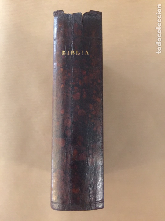 Livros antigos: Biblia 1873. Nuevo y Antiguo testamento.