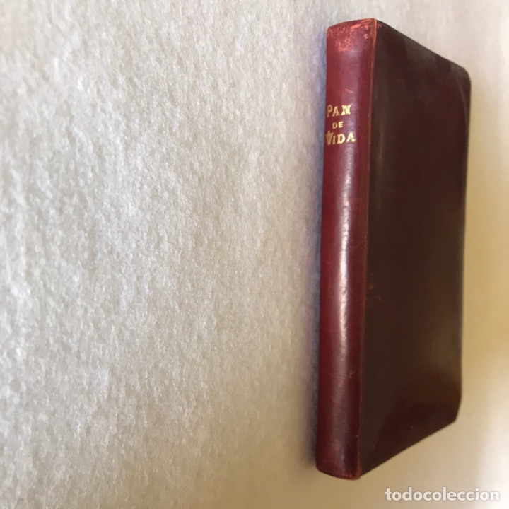 Libros antiguos: LIBRO RELIGIOSO - PAN DE VIDA ETERNA - Foto 3