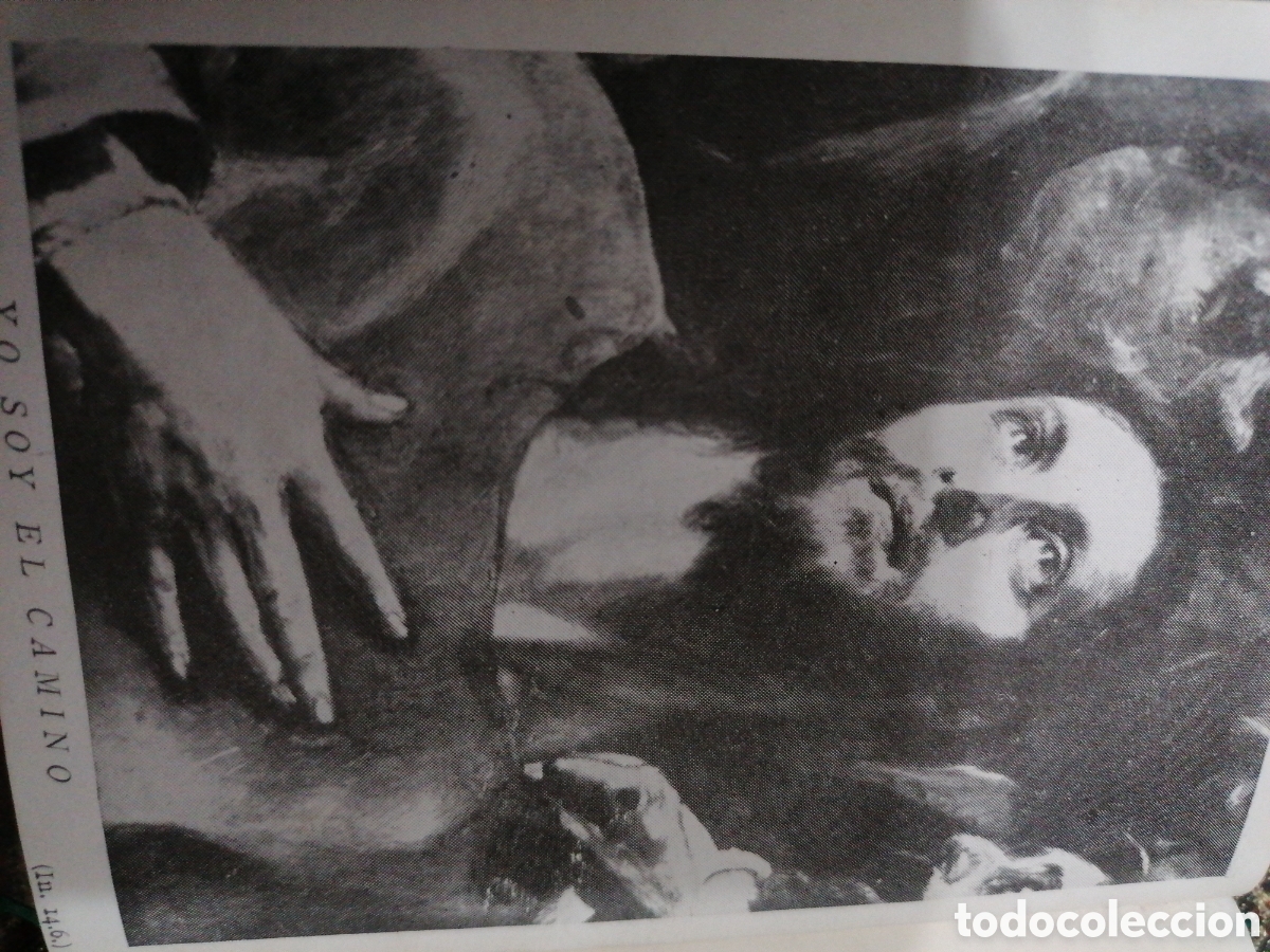 Libros antiguos: Josemar&iacute;a Escriv&aacute; libro - Foto 3