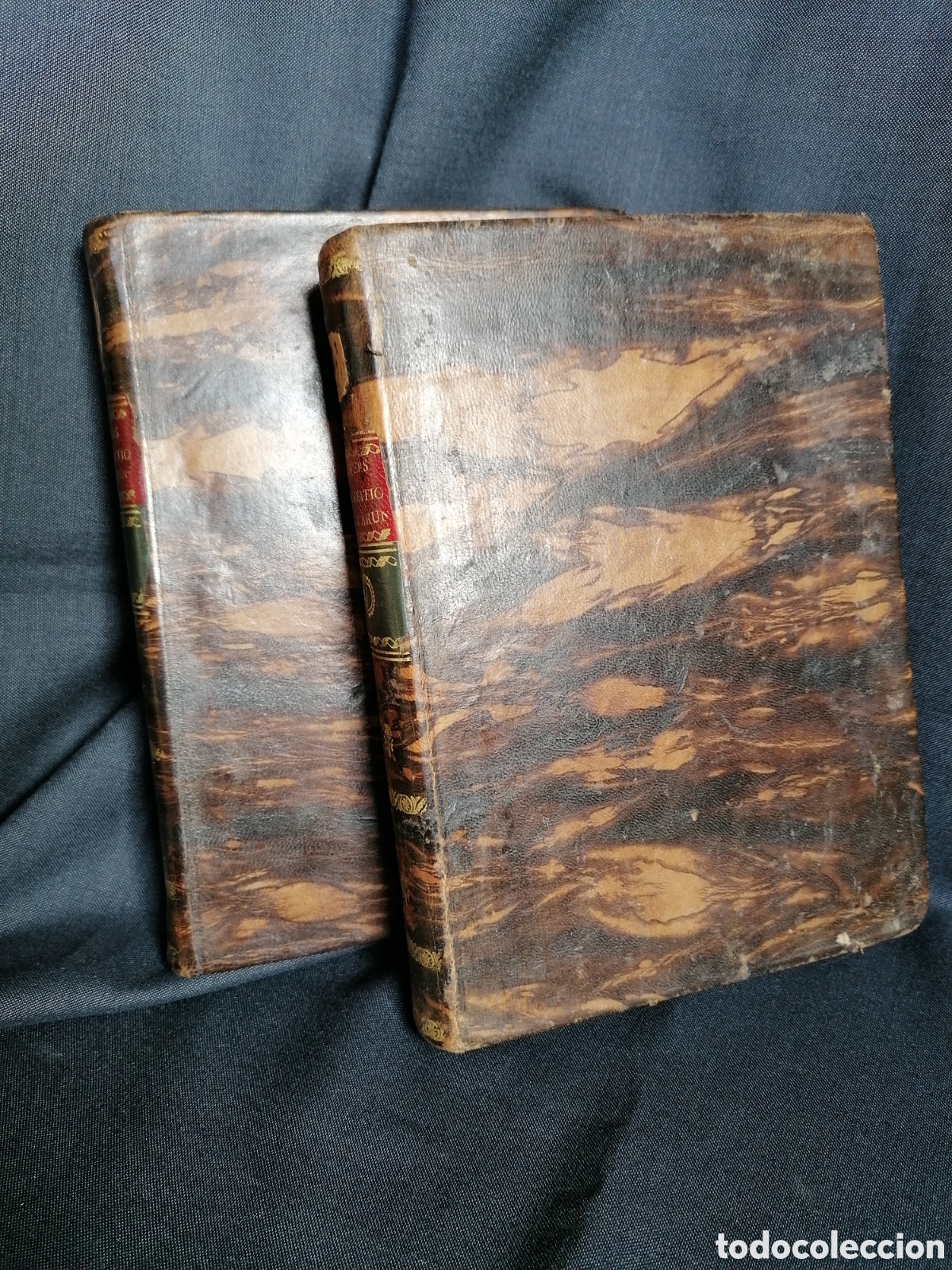 Libros antiguos: Dilucidationes, a&ntilde;o 1808 - Foto 1