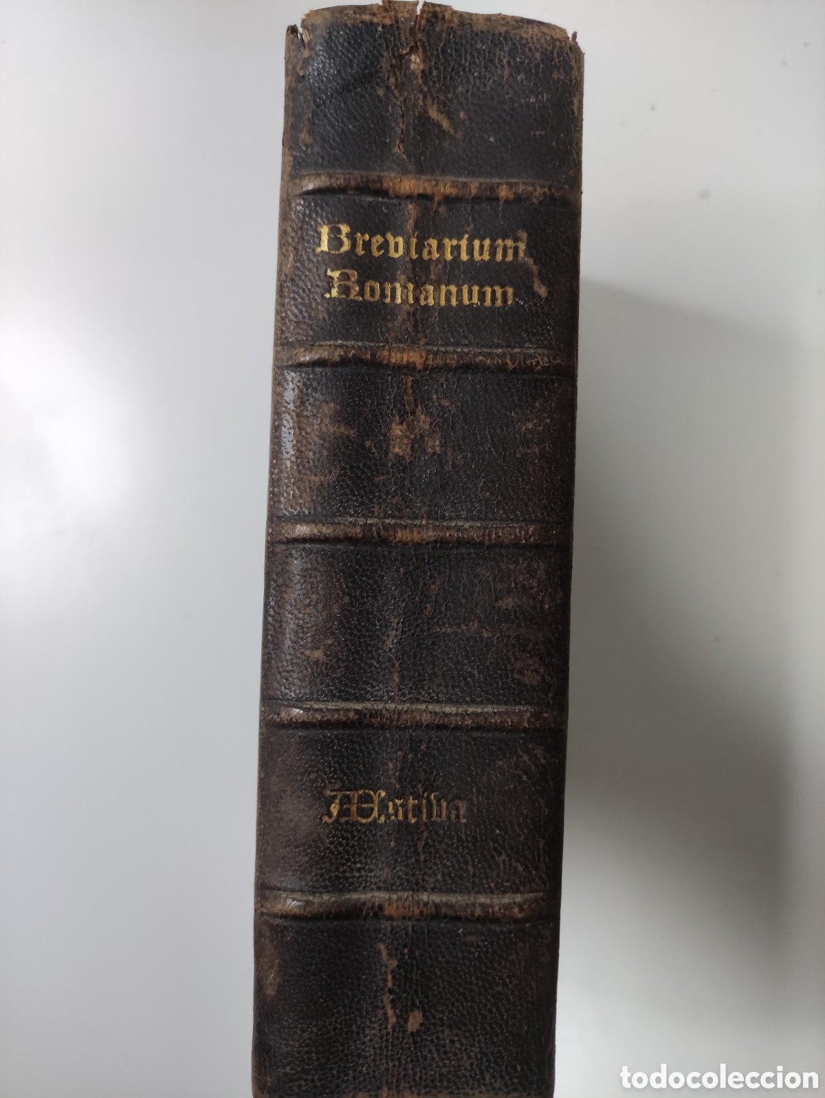 Antiquarische B&uuml;cher: Brebiarium romanum pars astiba 1894