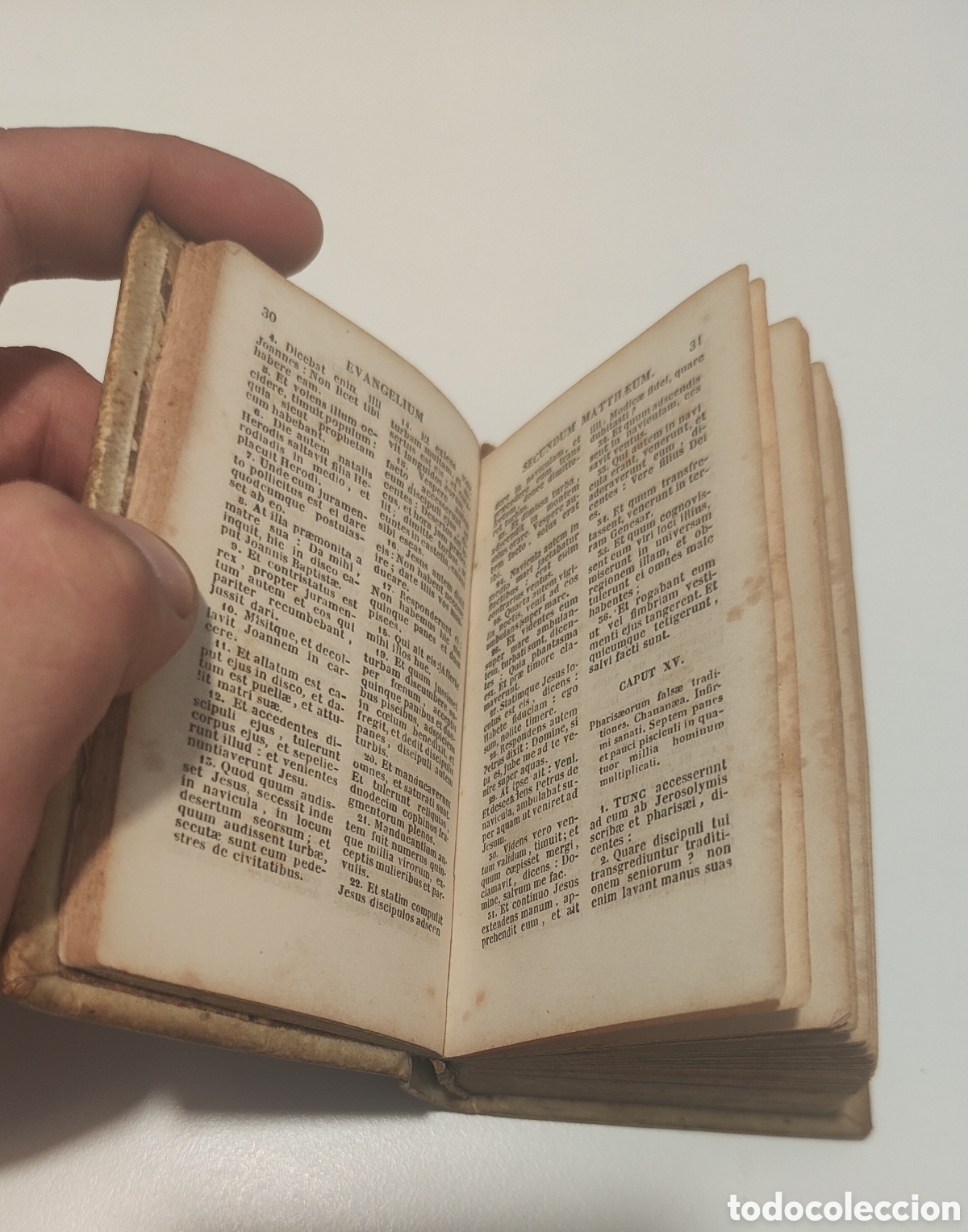 Libros antiguos: Novum Testamentum - Foto 8