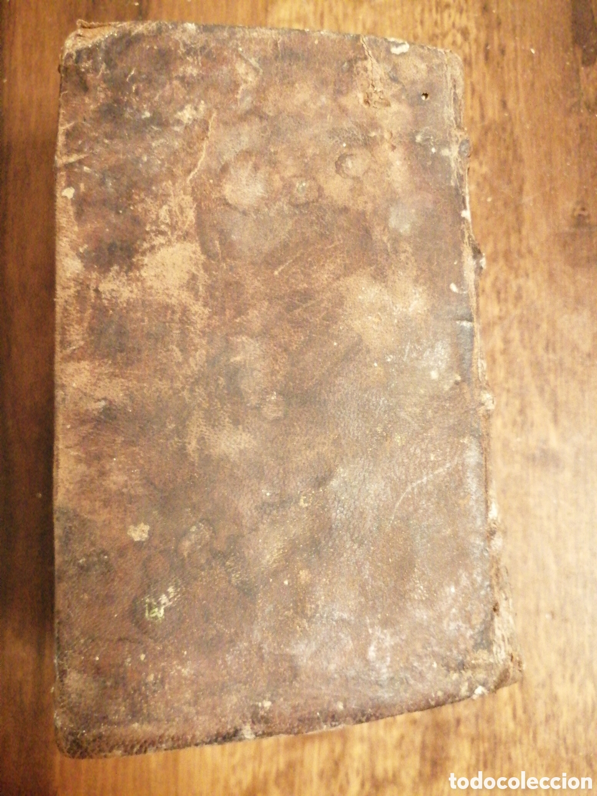 Libros antiguos: SUMMA - OMNIUM - 1564 - Foto 7