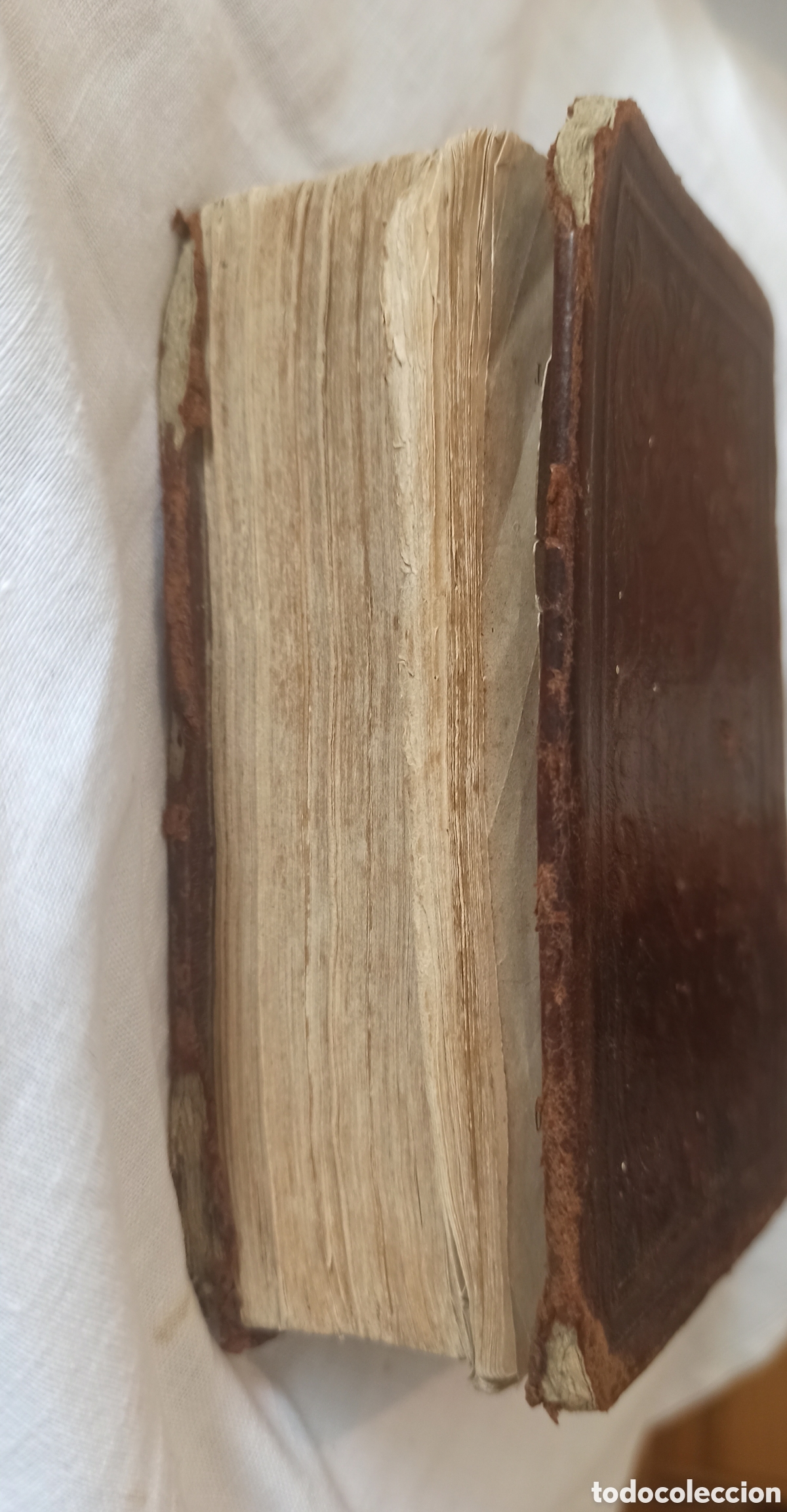 Libros antiguos: Oficio Divino sXIX - Foto 6