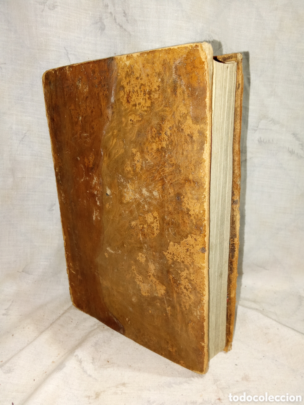 Antiquarische B&uuml;cher: LA SAGRADA BIBLIA DE LA VULGARA LATINA, TOMO III, 1852