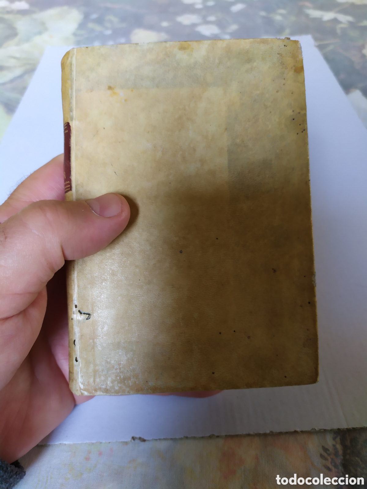 Old books: Bien conservado Catecismo Historico, 1805, pergamino, impreso, bonitos grabados.
