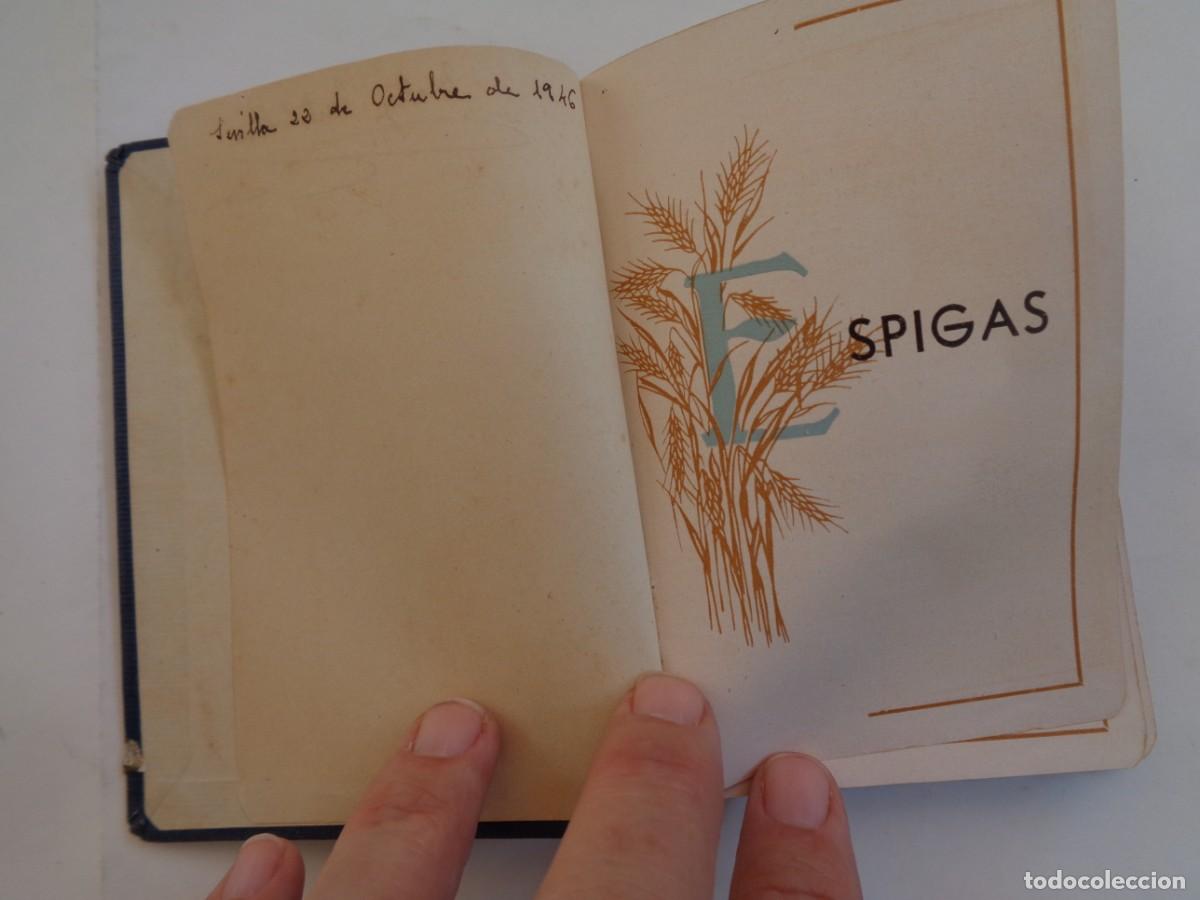 Libros antiguos: ESPIGAS . OBISPADO DE AVILA , 1931 - Foto 1