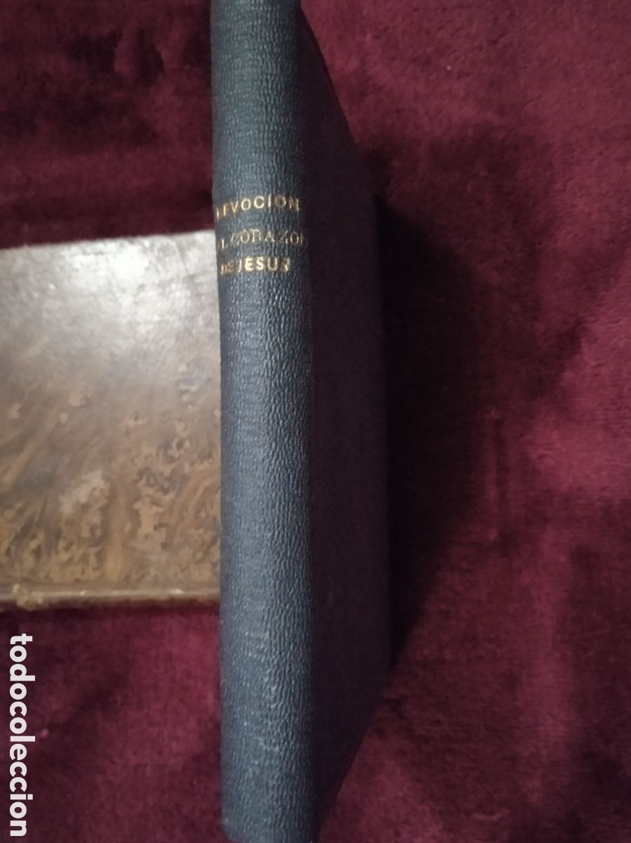 Livros antigos: NOCIONES DOCTRINALES Y PRACTICAS, AL SAGRADO CORAZON DE JESUS / P. JAVIER DE FRANCIOSI 1876