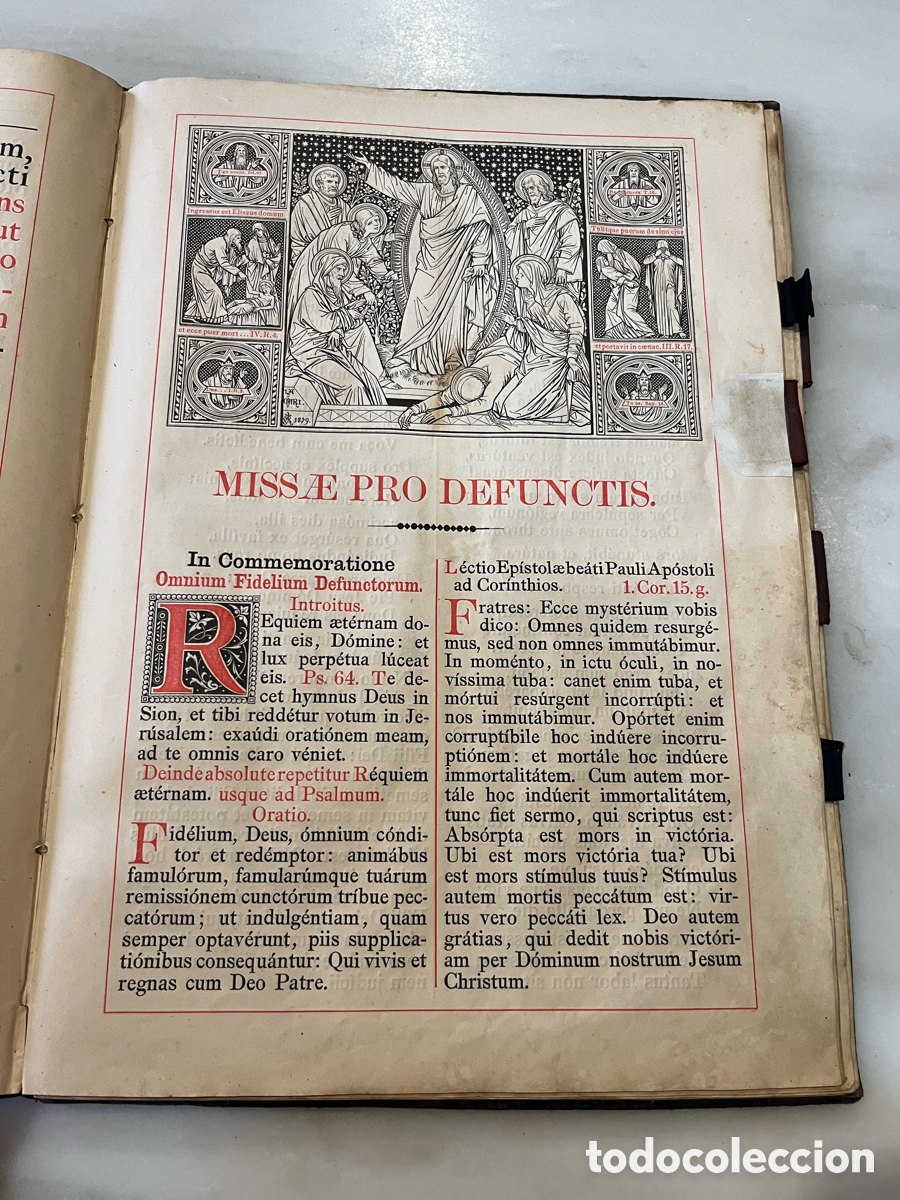 Libros antiguos: Missae pro Defunctis . 1884 - Foto 9