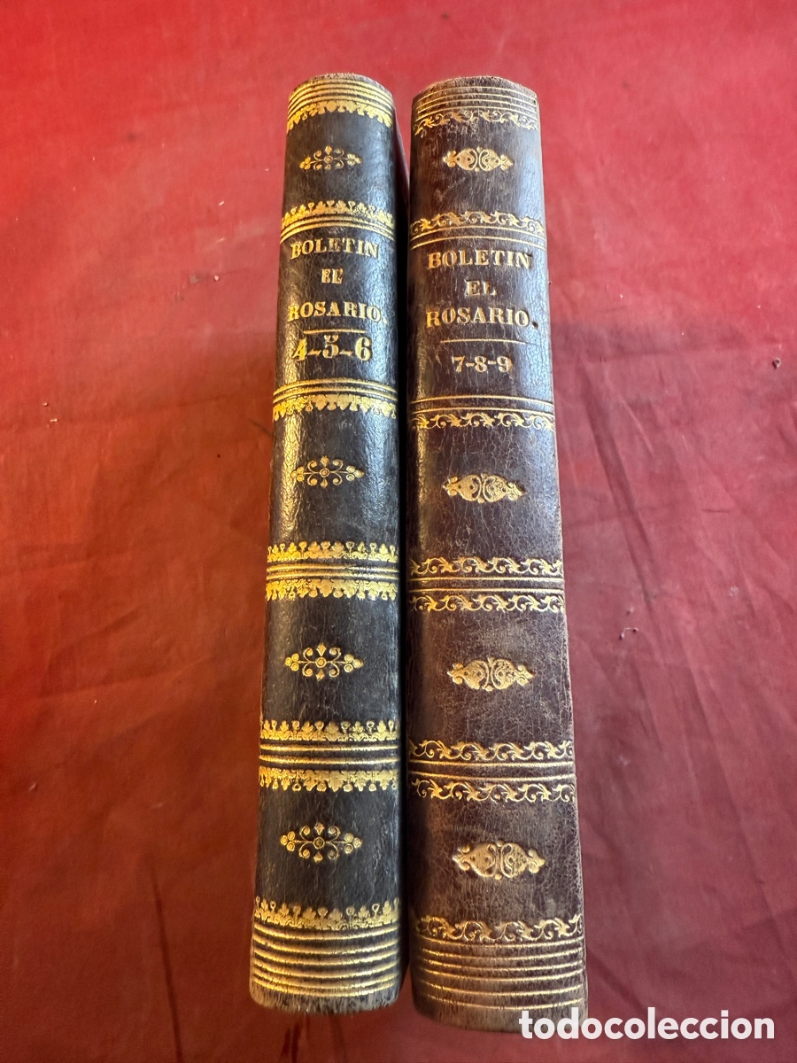 Old books: BOLET&Iacute;N DEL ROSARIO. Dos tomos 1874 y 1877