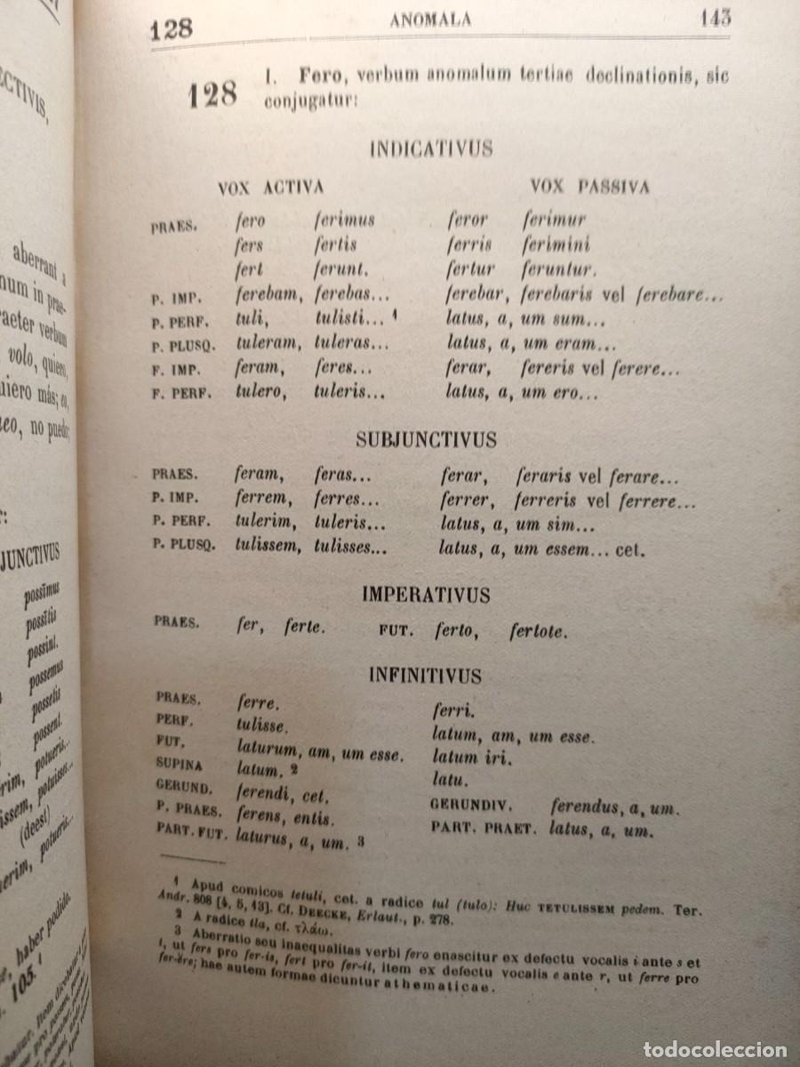 Libros antiguos: GRAMMATICA CLASICAE LATINITATIS. 1919 - 1920. - Foto 5