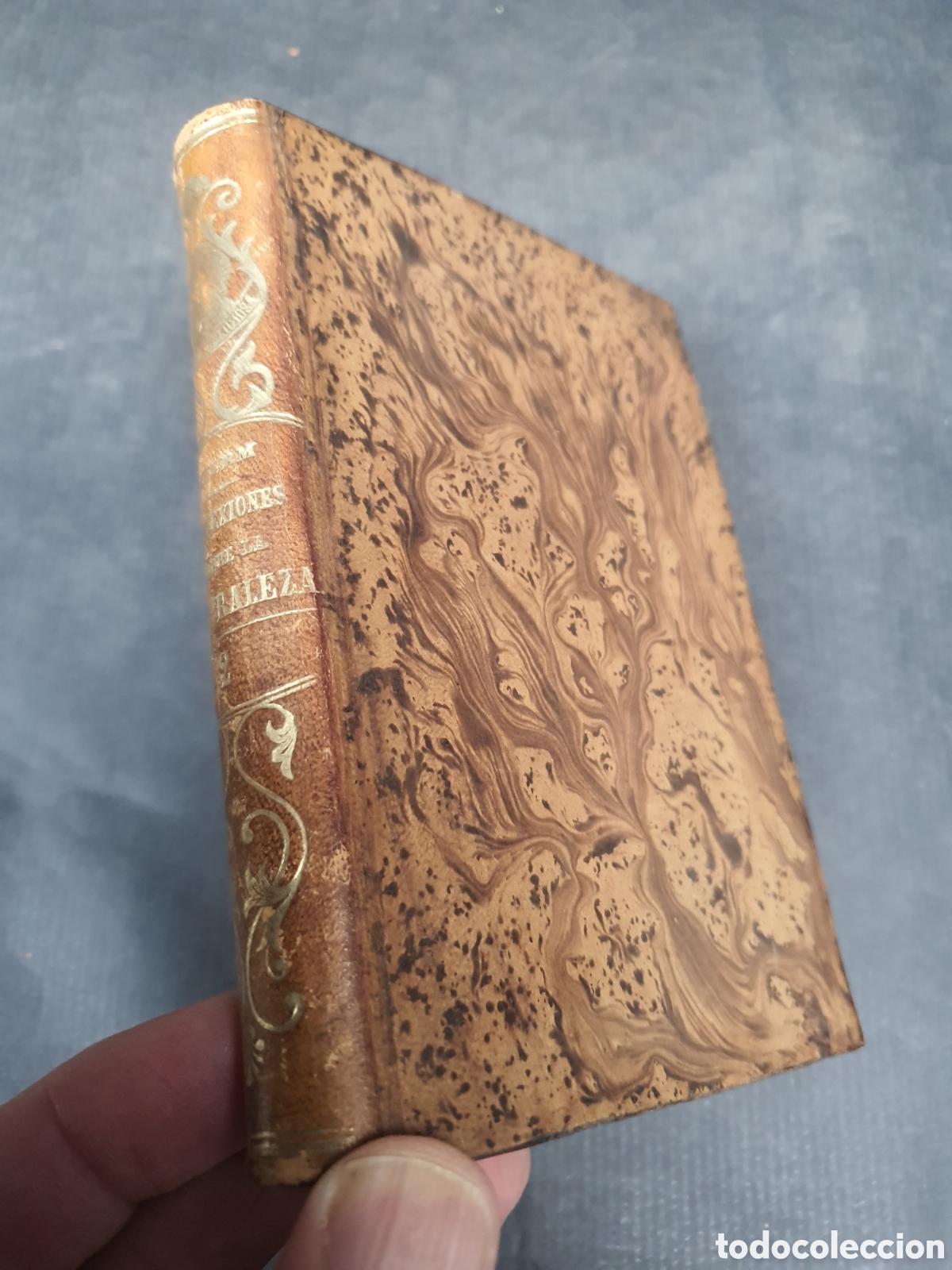 Livros antigos: REFLEXIONES SOBRE LA NATURALEZA TOMO II Sturm M. 1851