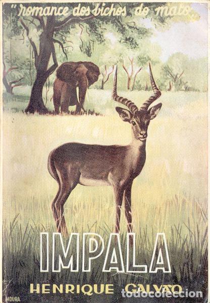 Libros antiguos: GALV&Atilde;O. (Henrique) - IMPALA. - Foto 1