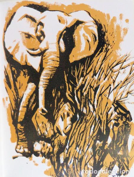 Libros antiguos: BRAVO. (Jo&atilde;o Maria) - A PROP&Oacute;SITO DE CA&Ccedil;A. - Foto 3