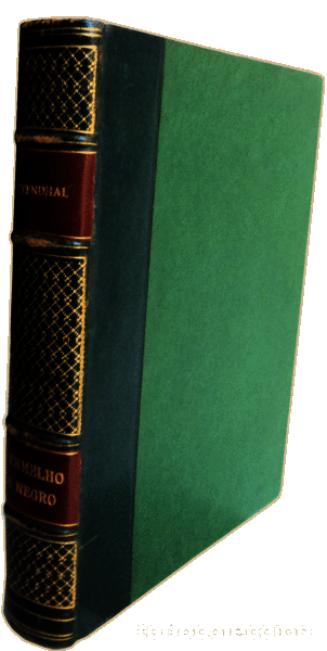Libros antiguos: STENDHAL. (Henri-Marie Beyle) - VERMELHO E NEGRO. - Foto 3