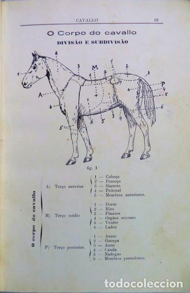 Libros antiguos: SILVA. (Azarias) - ELEMENTOS DE HIPPOLOGIA. - Foto 2