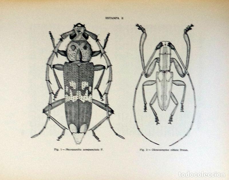 Libros antiguos: ESTUDOS DE ZOOLOGIA. - Foto 2