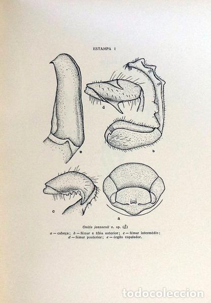 Libros antiguos: ESTUDOS DE ZOOLOGIA. - Foto 3