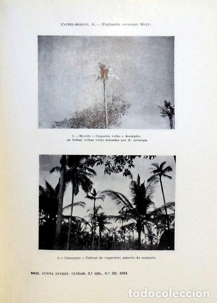Libros antiguos: ESTUDOS DE ZOOLOGIA. - Foto 2