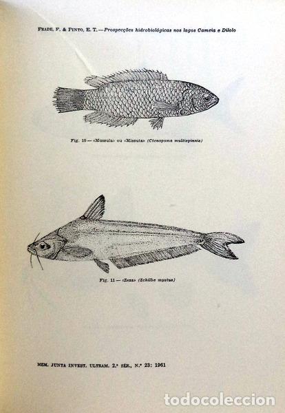 Libros antiguos: ESTUDOS DE ZOOLOGIA. - Foto 3