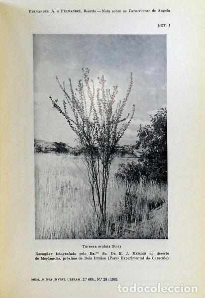Libros antiguos: ESTUDOS DE BOT&Acirc;NICA. - Foto 2