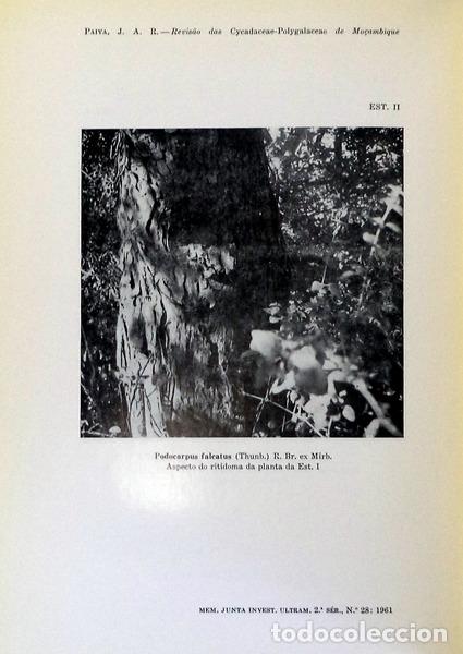 Libros antiguos: ESTUDOS DE BOT&Acirc;NICA. - Foto 3